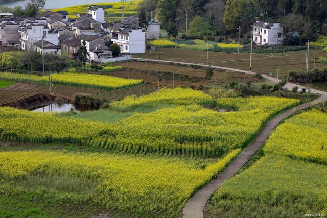 農村三層別墅 農村三層別墅