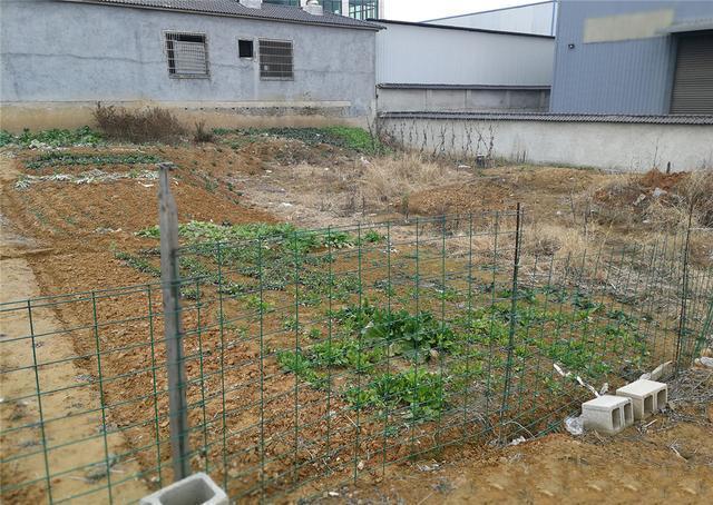 農村自建別墅 農村自建別墅