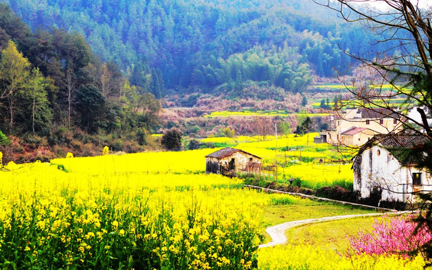 鄉村風景.jpeg 鄉村風景.jpeg