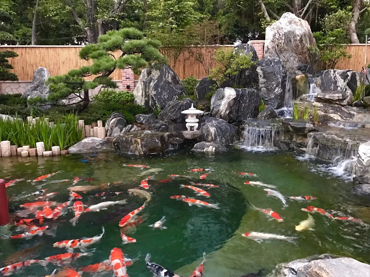庭院風水禁忌.jpeg 庭院風水禁忌.jpeg