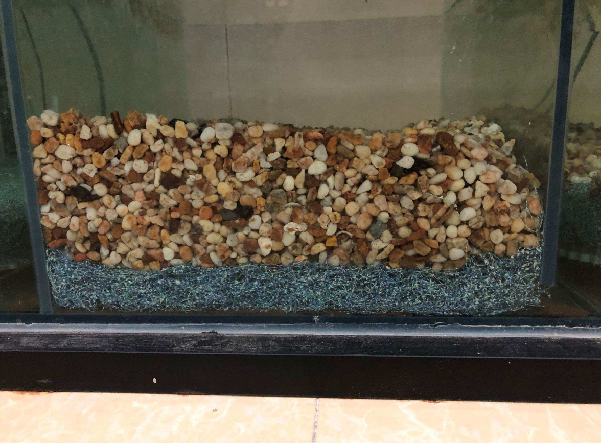 使用魚(yú)缸濾材時(shí)候的注意事項(xiàng).png 使用魚(yú)缸濾材時(shí)候的注意事項(xiàng).png