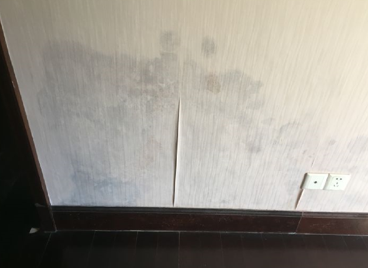 墻上發霉怎么處理.png 墻上發霉怎么處理.png