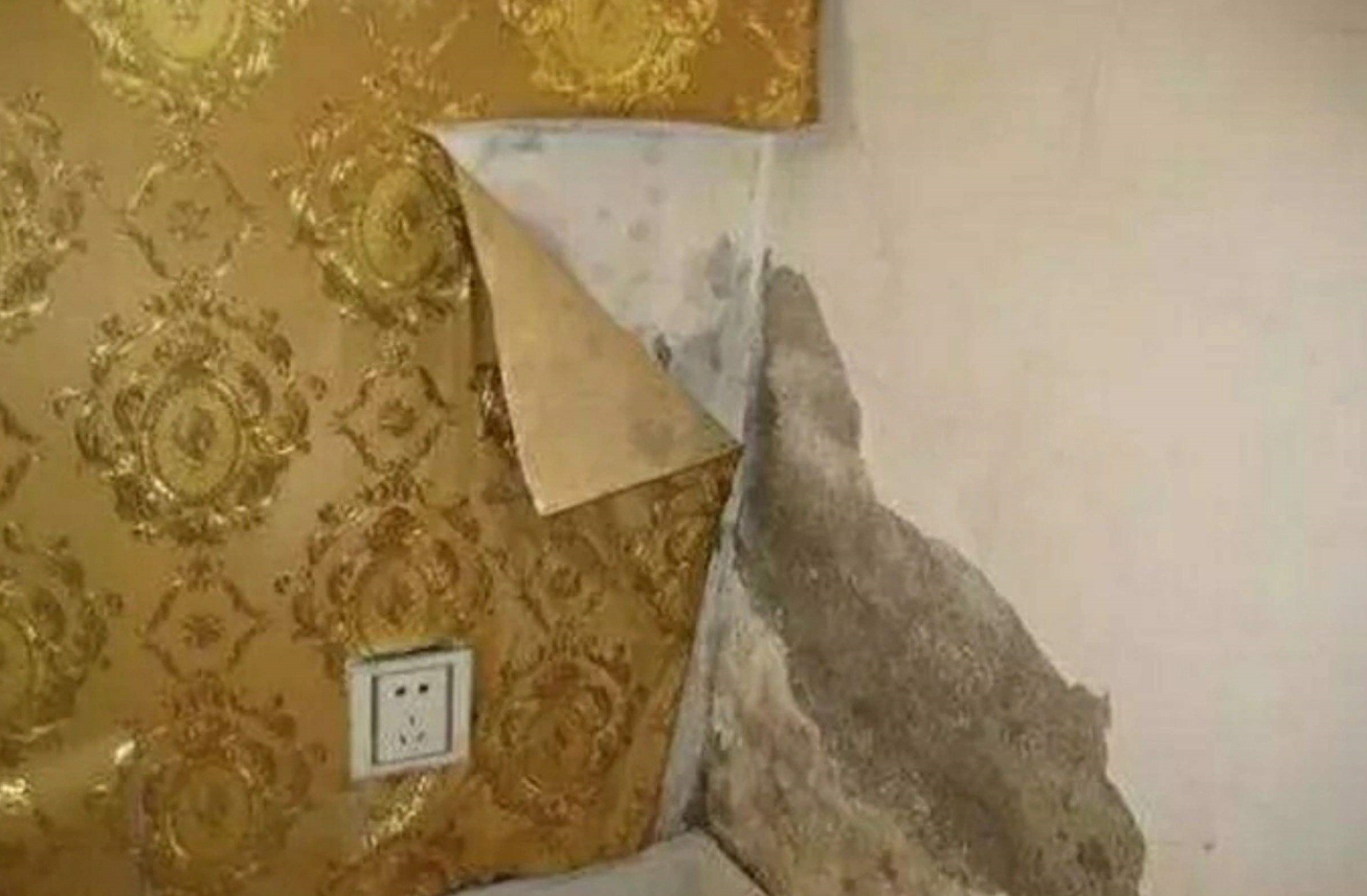 怎樣去除墻上的霉斑.png 怎樣去除墻上的霉斑.png