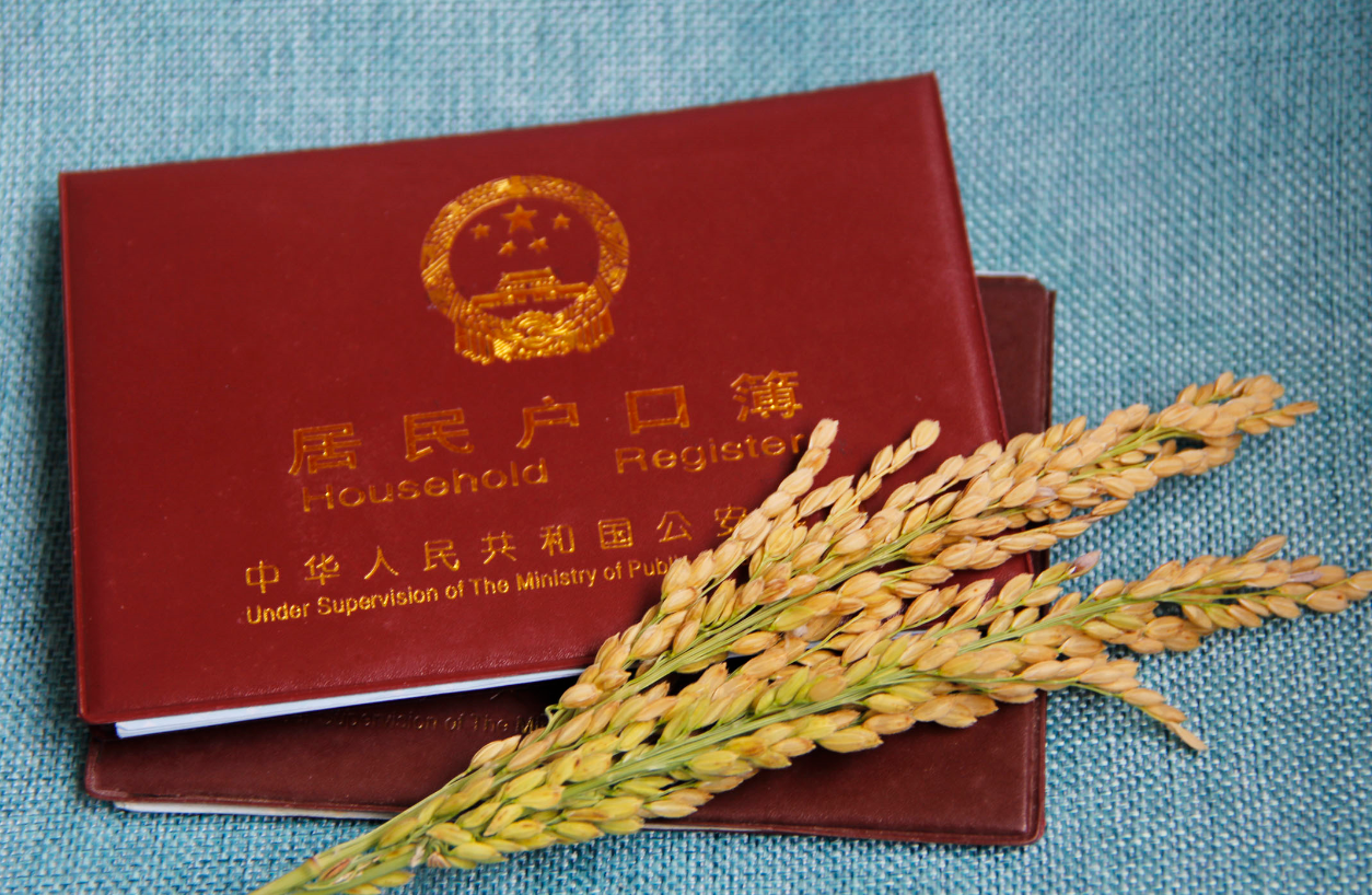 戶口“由城轉(zhuǎn)鄉(xiāng)”放開,達(dá)到條件的就可遷戶回村 (4).png 戶口“由城轉(zhuǎn)鄉(xiāng)”放開,達(dá)到條件的就可遷戶回村 (4).png