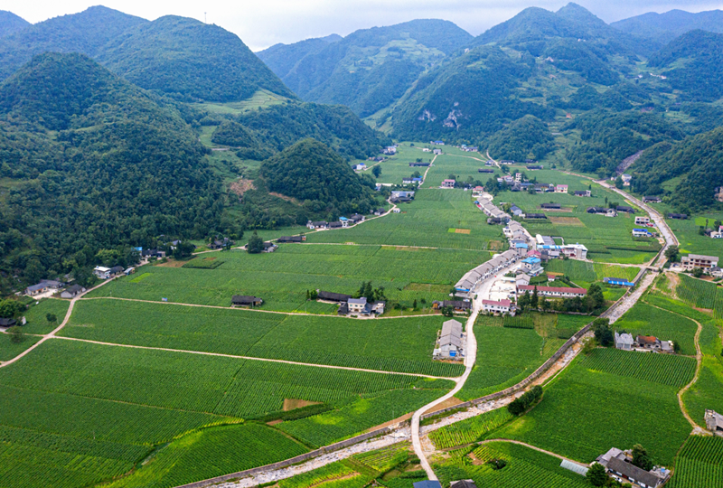 住宅沖路怎么化解方法.png 住宅沖路怎么化解方法.png