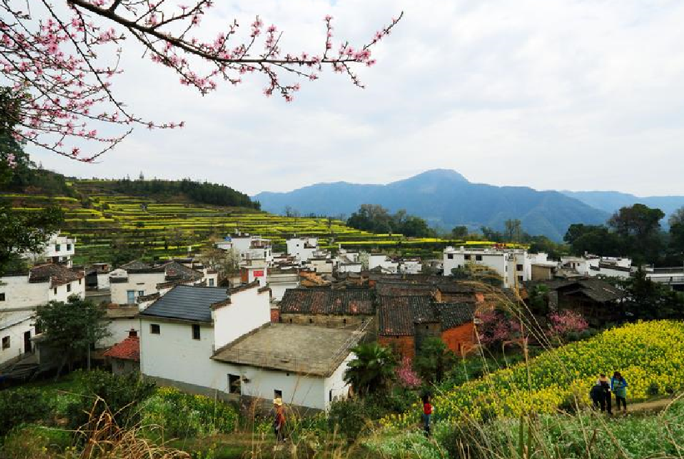 房產(chǎn)證上宗地面積是指什么.png 房產(chǎn)證上宗地面積是指什么.png