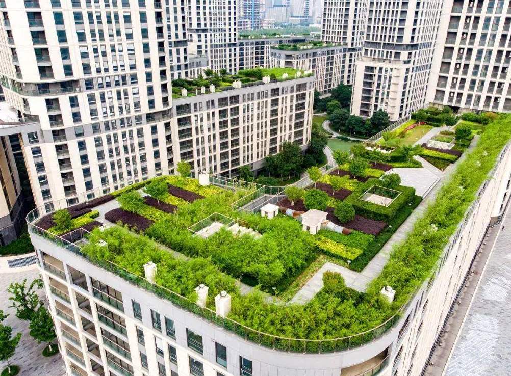 屋頂花園設計理念和技巧 (3).png 屋頂花園設計理念和技巧 (3).png