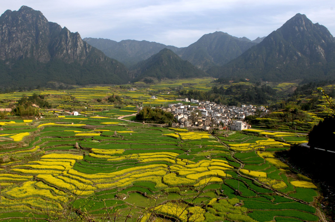 自建房超建會(huì)處罰嗎.png 自建房超建會(huì)處罰嗎.png